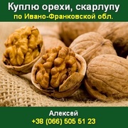 Куплю орех целый горіх цілий урожаю,  урожая 2013 г